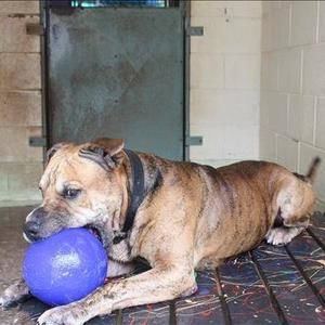 Meet your Posher, Wayne